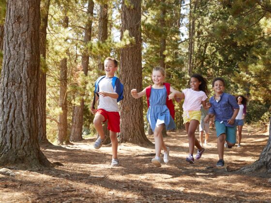 Bild zu Artikel: Zecken - Wichtige Informationen