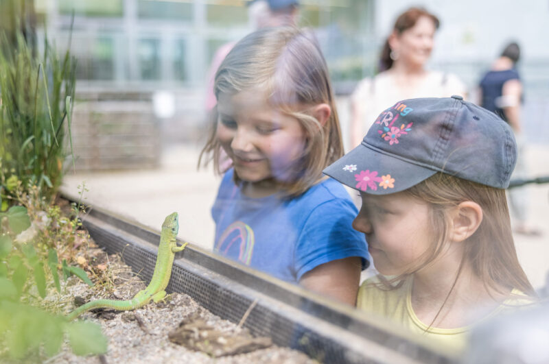 (c) Daniel Hinterramskogler (c) Daniel Hinterramskogler