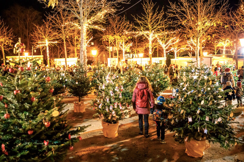 (C) Alexander Felten (C) Alexander Felten