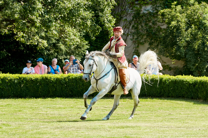 (c) Lichtstark (c) Lichtstark