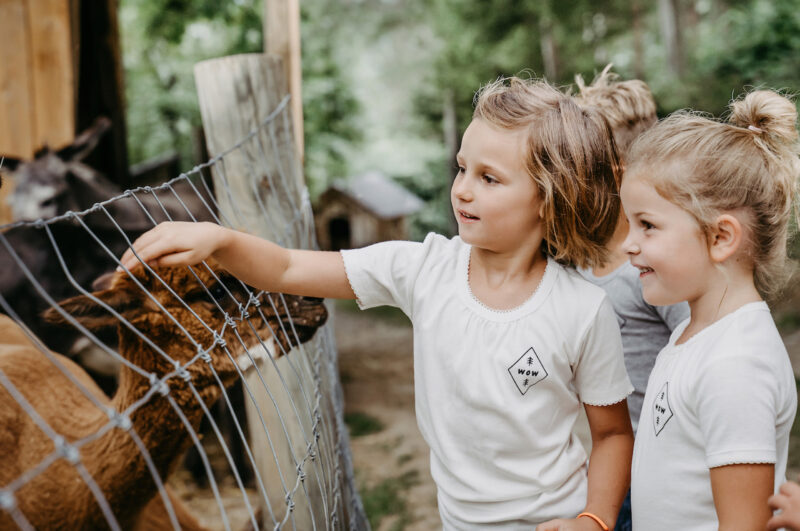 (c) Dagmar Frühauf (c) Dagmar Frühauf