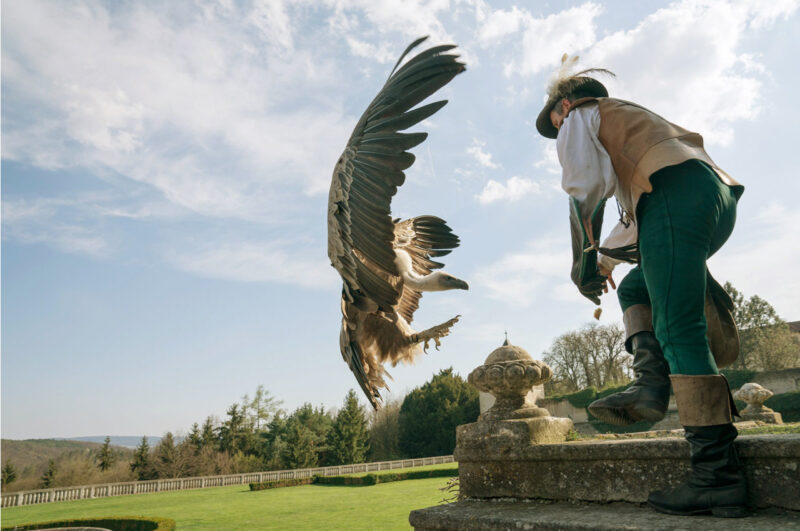 (c) Lichtstark (c) Lichtstark