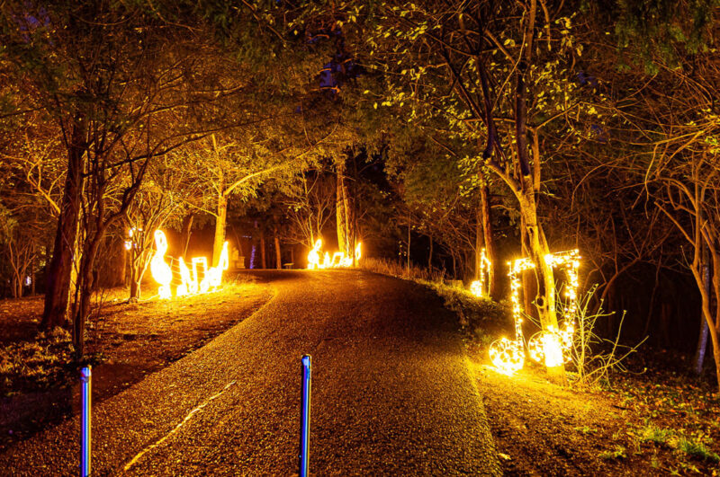 (c) Illumina Lichtergarten GmbH