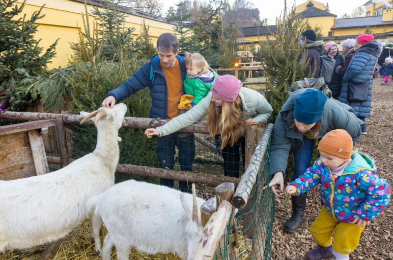 (c) Wild Bild/Gassner Gastronomie