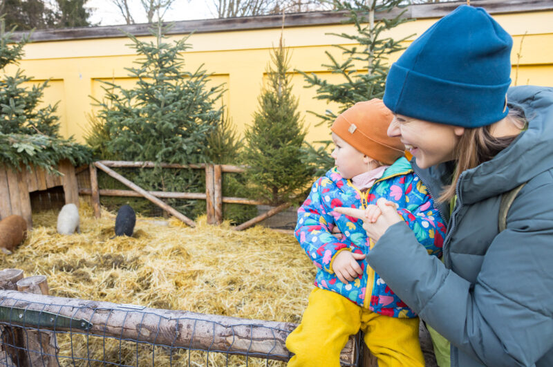 (c) Wild Bild/Gassner Gastronomie