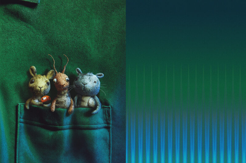 2560x1700 TAW2526 VINCENT leer 300pdi 800x531