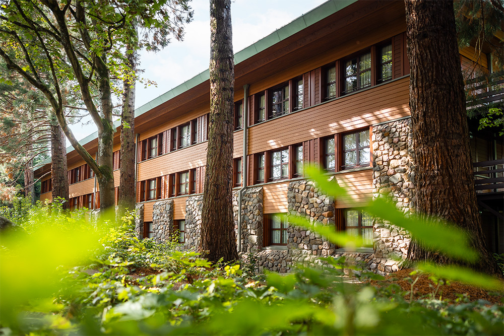 Disney Sequoia Lodge***
