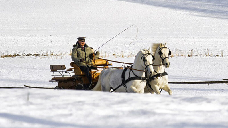 Winterkutsche c Rene van Bakel 1535 800x448