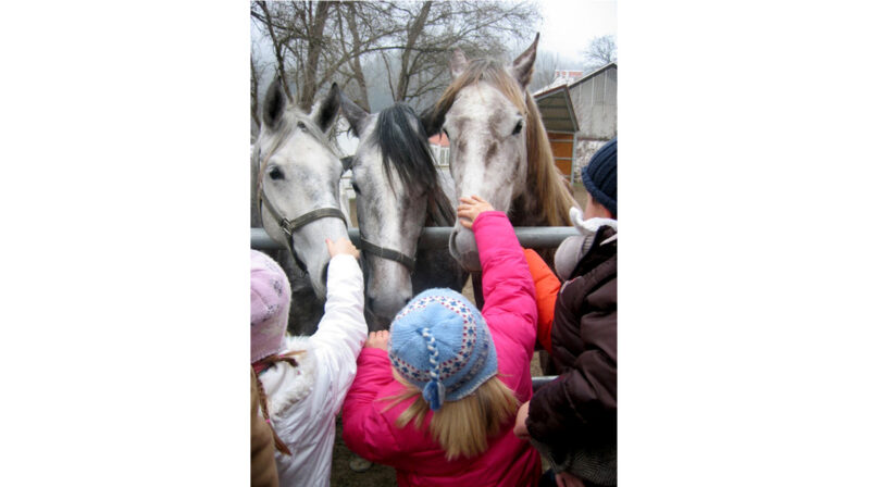 c Rene van Bakel 1535 2025 800x448