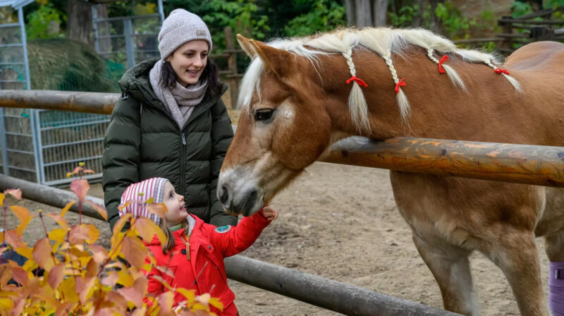 Regenbogental Puschwochenende 1 2025 1535x860 800x448
